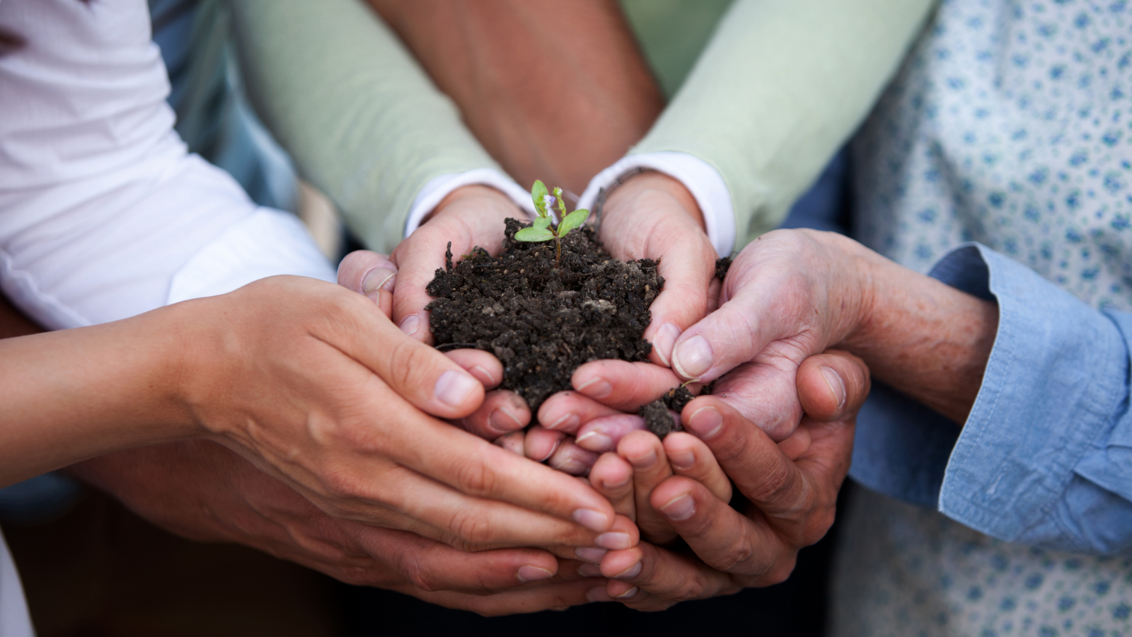 Read more about the article The Seeds of Change: Diversity and Inclusion in Impact Investing